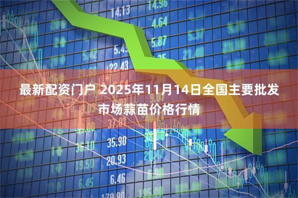 最新配资门户 2025年11月14日全国主要批发市场蒜苗价格行情