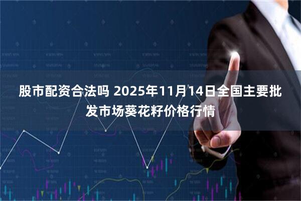 股市配资合法吗 2025年11月14日全国主要批发市场葵花籽价格行情