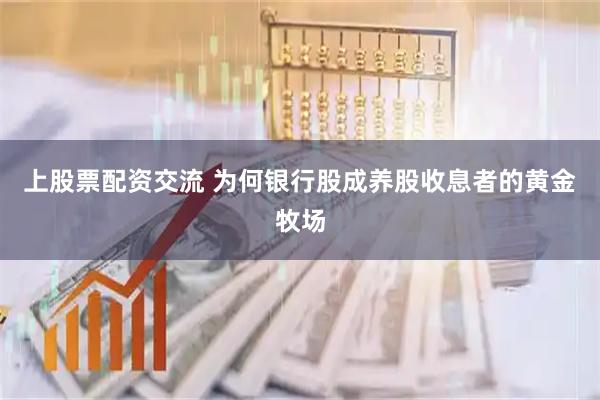上股票配资交流 为何银行股成养股收息者的黄金牧场
