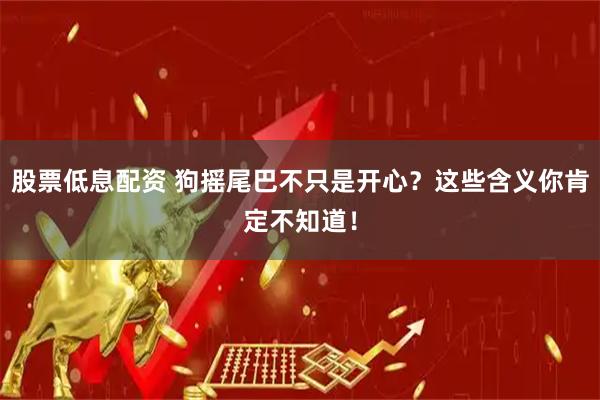 股票低息配资 狗摇尾巴不只是开心？这些含义你肯定不知道！