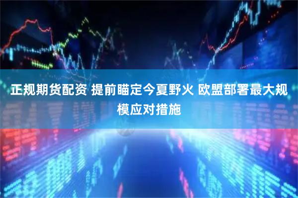 正规期货配资 提前瞄定今夏野火 欧盟部署最大规模应对措施